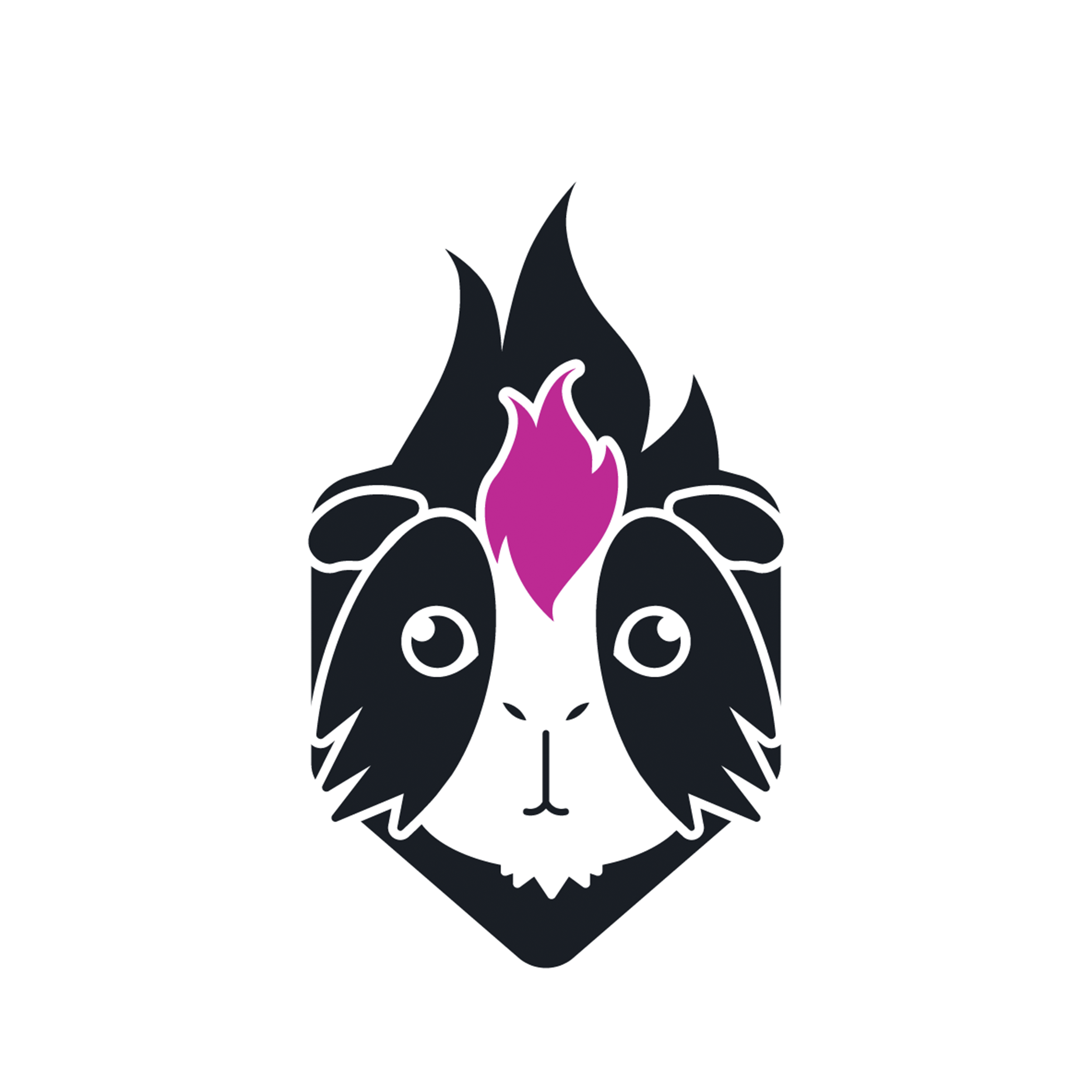 Logo equipo
