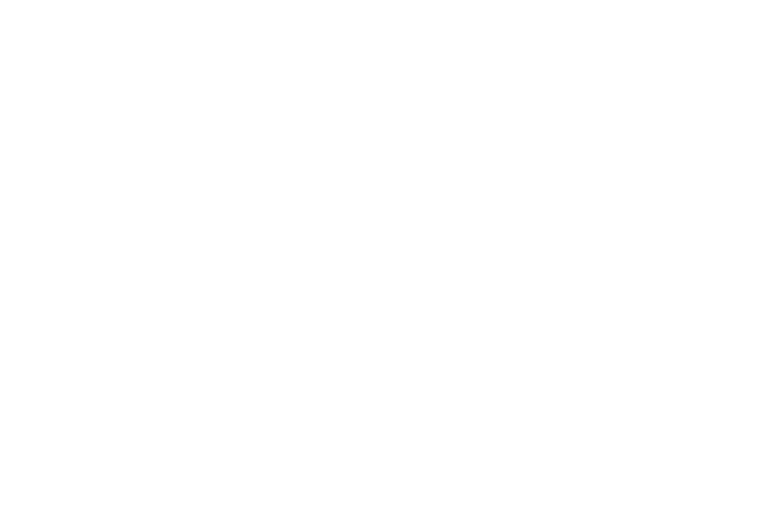 Organizador